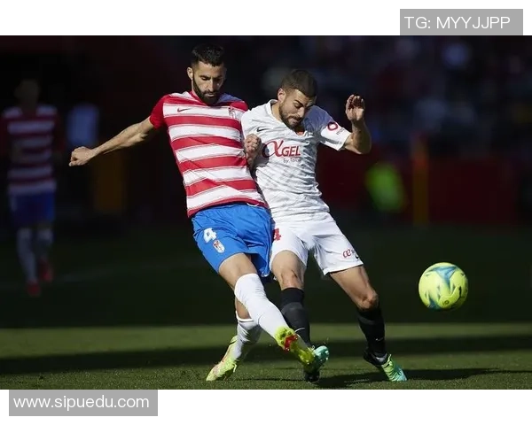 贝济耶与布雷斯特比赛比分分析及历史交锋数据对比